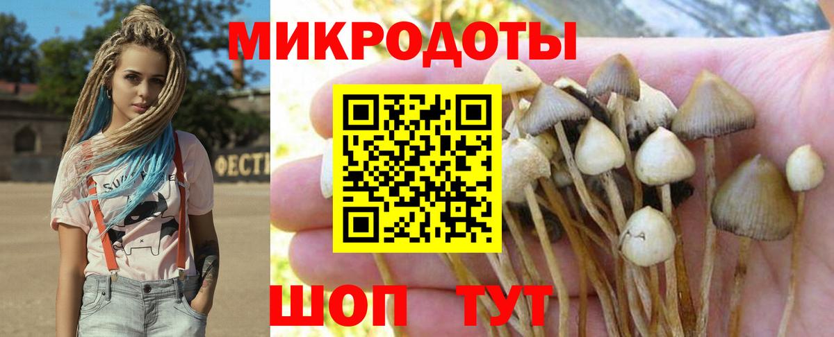 Ачинск  Псилоцибиновые грибы Cubensis  Вход с VPN 